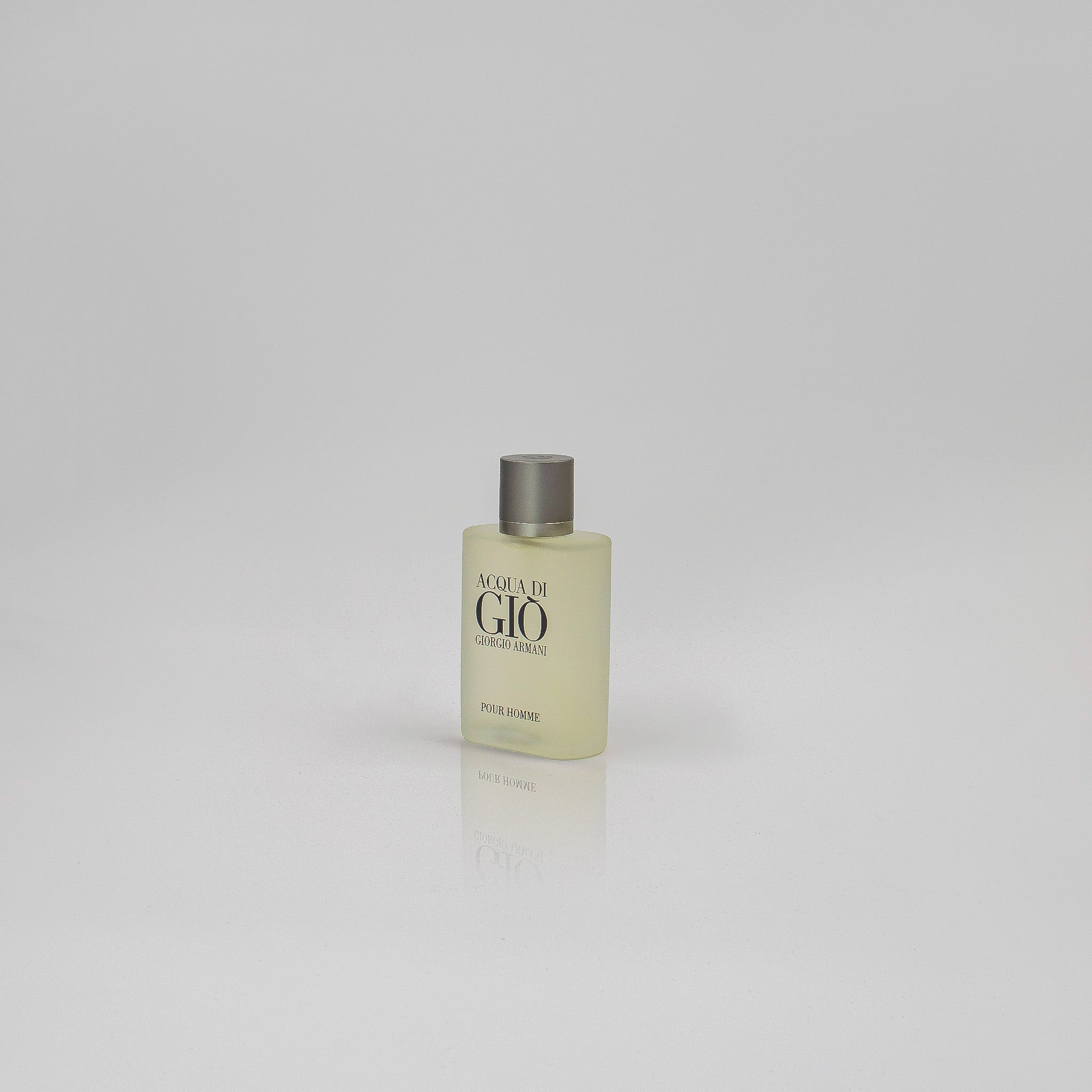 Acqua di Giò – Giorgio Armani 100ml